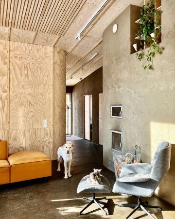 Olkielementtitalo, savirappaus